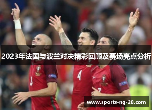 2023年法国与波兰对决精彩回顾及赛场亮点分析