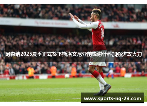 阿森纳2025夏季正式签下斯洛文尼亚前锋谢什科加强进攻火力